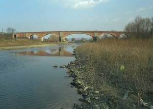 Vista del fiume Arno a Montevarchi - [11.128 Kb]
